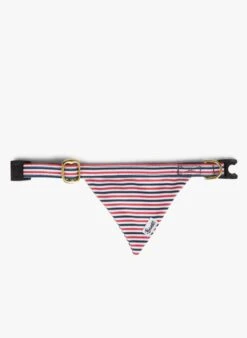 THE FRENCH BANBAN - Bandana Pour Chien à Rayures | Bleu