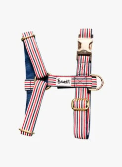 THE FRENCH BANBAN - Harnais Pour Chien à Rayures | Bleu