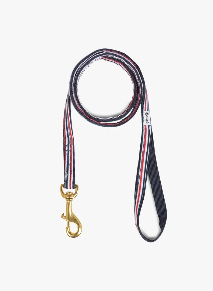 THE FRENCH BANBAN - Laisse Pour Chien à Rayures | Bleu 2 THE FRENCH BANBAN - Laisse Pour Chien à Rayures | Bleu – Image 2