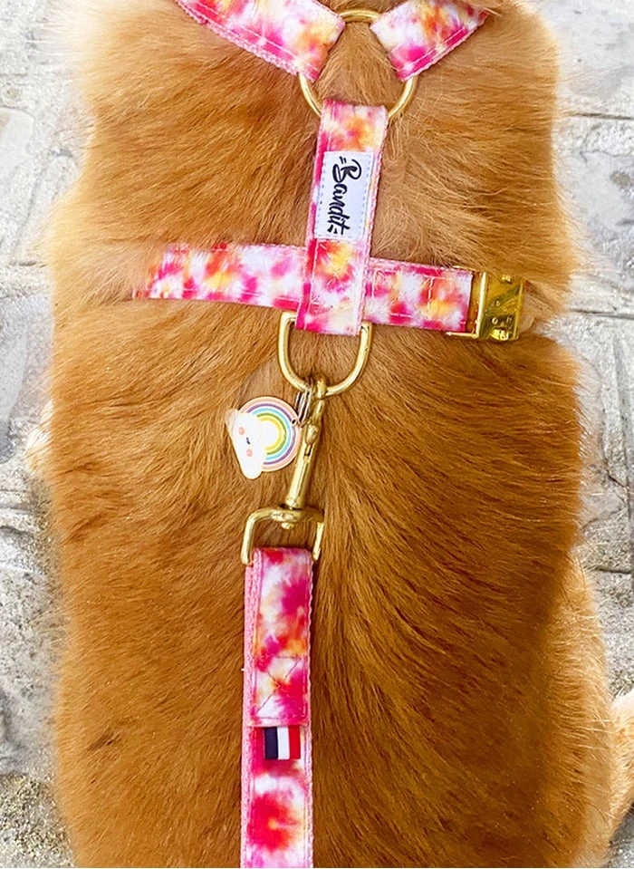 BANDIKINI - Laisse Chien Imprimé Tie And Dye | Rose 3 BANDIKINI - Laisse Chien Imprimé Tie And Dye | Rose – Image 3