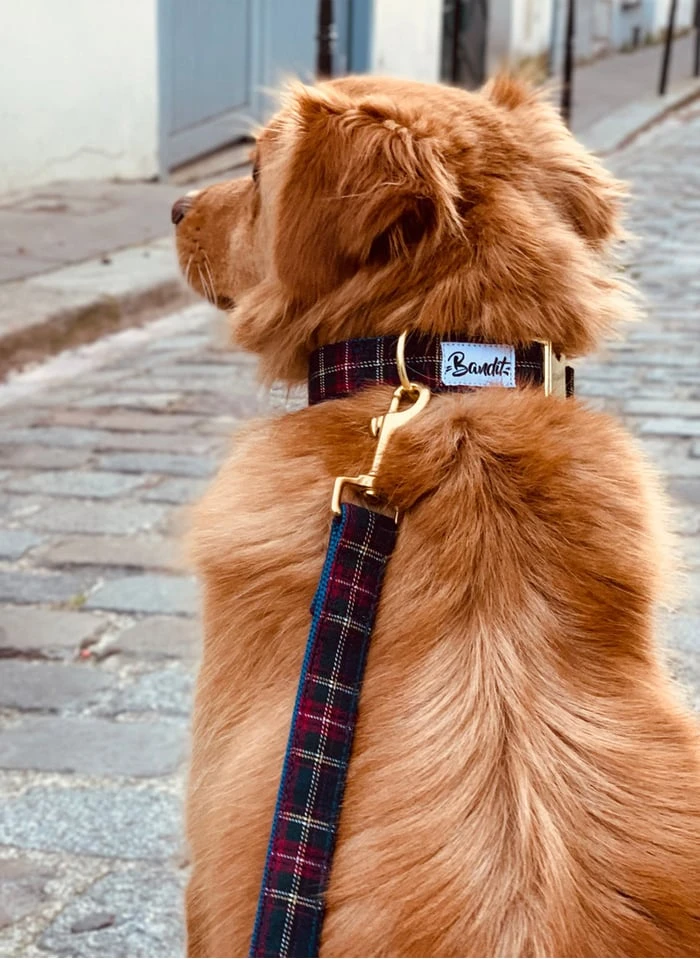 OH MY LORD - Laisse Pour Chien Motif Tartan | Bleu 3 OH MY LORD - Laisse Pour Chien Motif Tartan | Bleu – Image 3