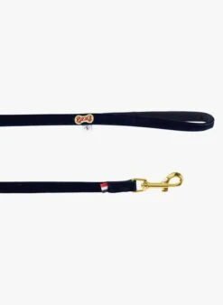 Laisse Pour Chien En Velours | Bleu