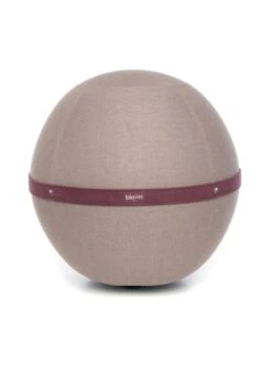 Siège Ballon Ergonomique Et Design - Regular | Violet