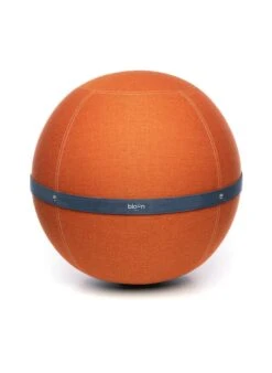 Siège Ballon Ergonomique Et Design - XL | Orange